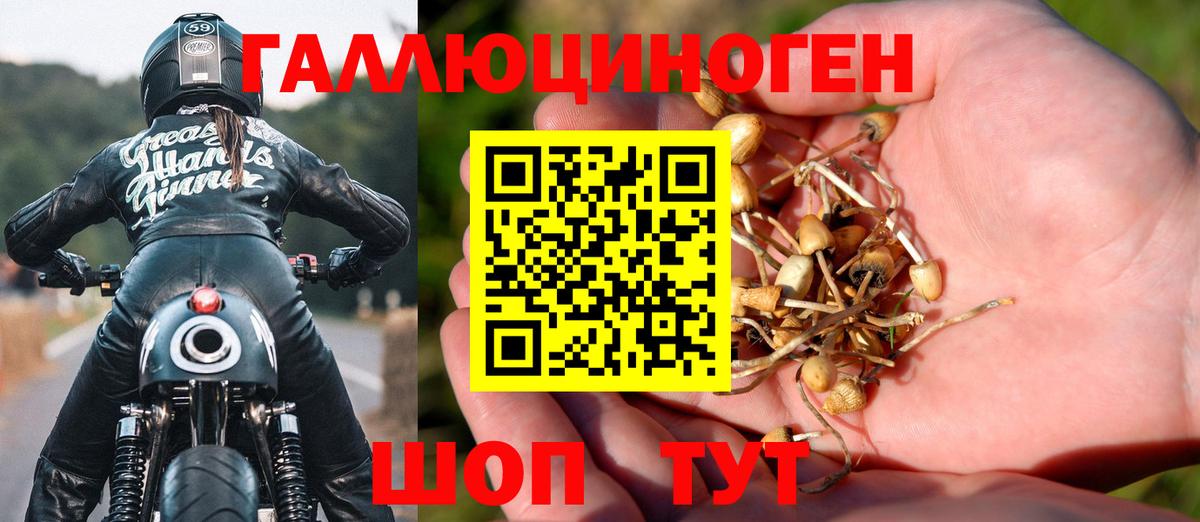 Галлюциногенные грибы Cubensis  Вход с VPN  Псилоцибиновые грибы Psilocybine cubensis  Вязьма 
